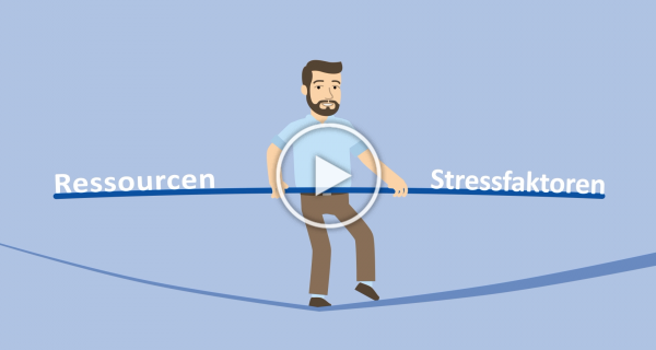 Video DOSIMIRROR Stressmodell